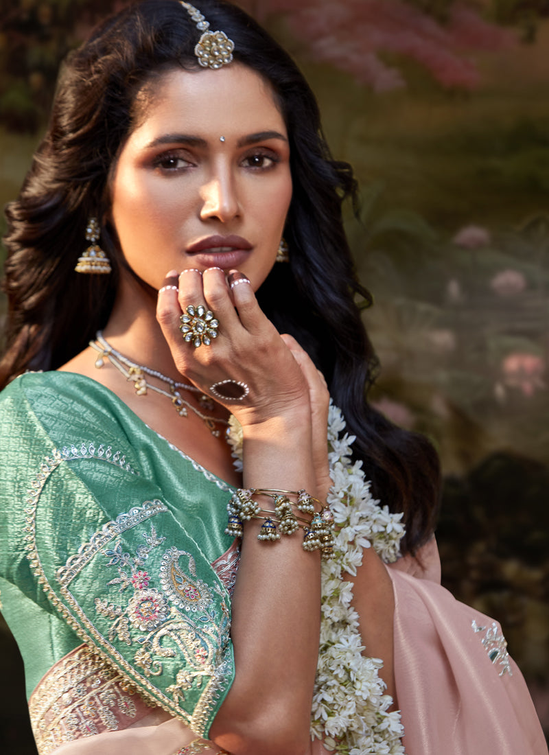 Baby Pink Glass Tissue Organza Designer Sequence Thread Work Border Party Wear Saree