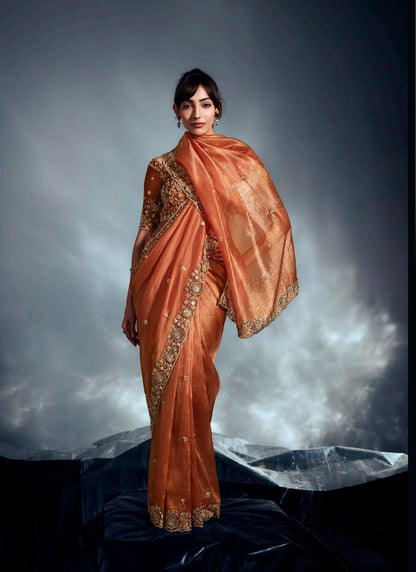 Rust Glass Glass Tissue With Heavy Designer Blouse Party Wear Saree