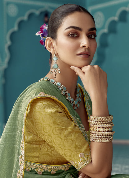 Pista Glass Tissue Embroidery & Sequence Work Designer Saree