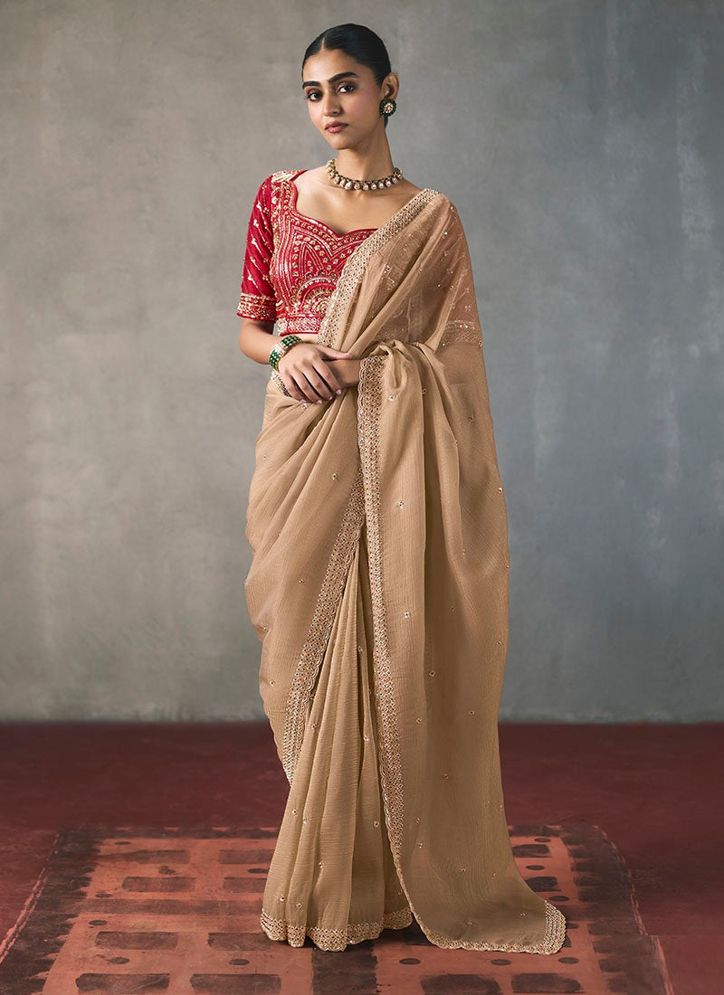 Fancy Sequin Border With Heavy Designer Blouse Party Wear Saree