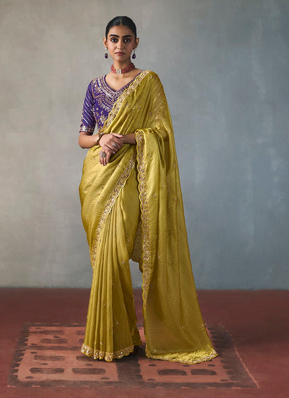 Fancy Sequin Border With Heavy Designer Blouse Party Wear Saree