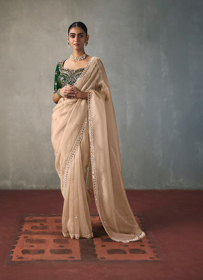 Fancy Sequin Border With Heavy Designer Blouse Party Wear Saree