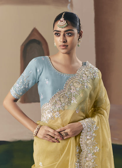 Mustard Tissue Silk Cut Work Border Heavy Designer Saree