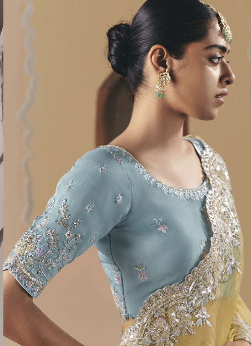 Mustard Tissue Silk Cut Work Border Heavy Designer Saree