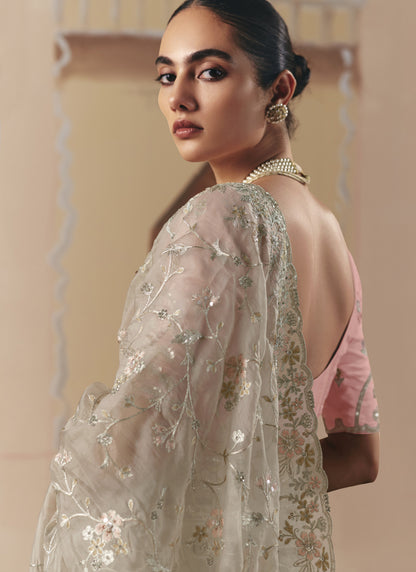 Beige Tissue Silk Cut Work Border Heavy Designer Saree