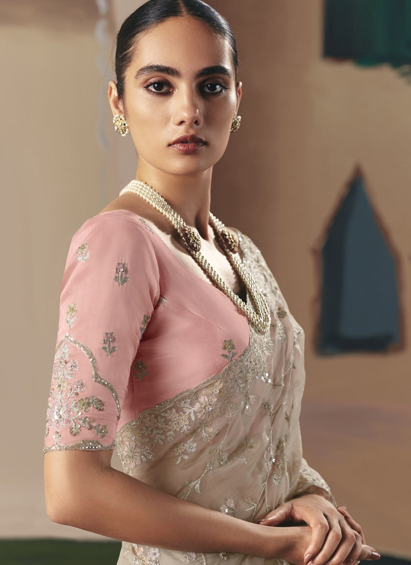 Beige Tissue Silk Cut Work Border Heavy Designer Saree