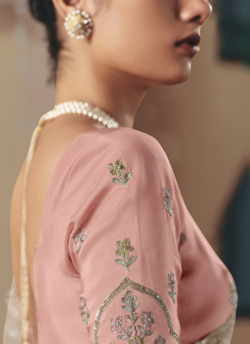 Beige Tissue Silk Cut Work Border Heavy Designer Saree