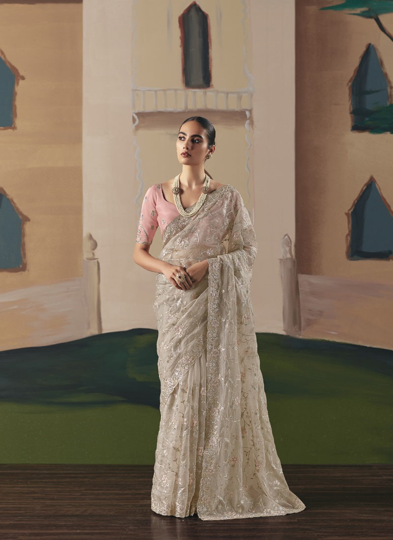 Beige Tissue Silk Cut Work Border Heavy Designer Saree