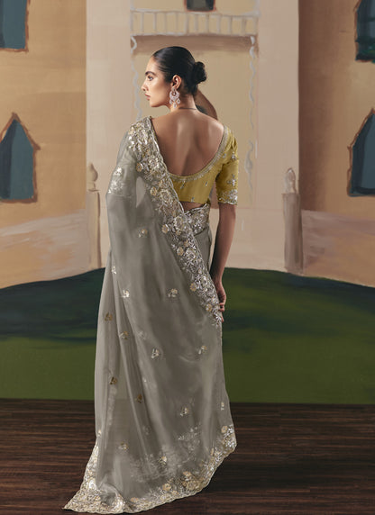 Gary Tissue Silk Border Heavy Designer Saree