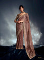 Beige Tissue Glass Heavy Sequence Heavy Designer Blouse Party Wear Saree