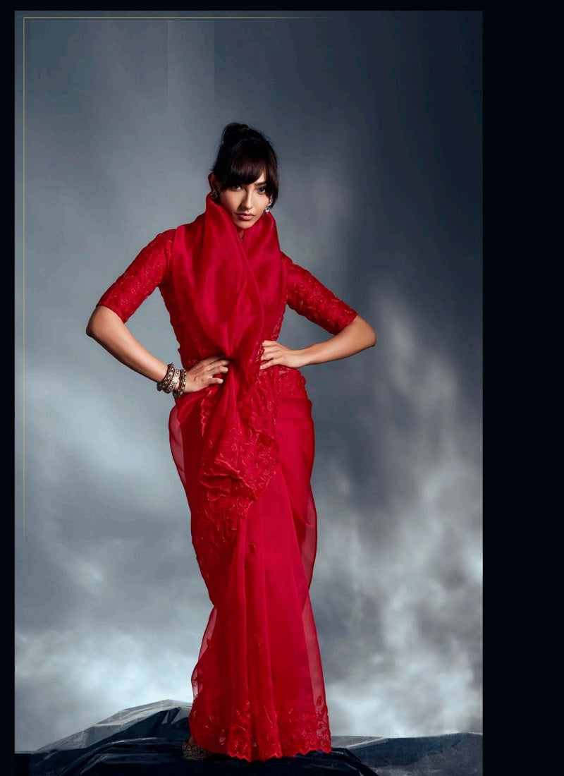 Red Tissue Glass With Heavy Designer Blouse Party Wear Saree