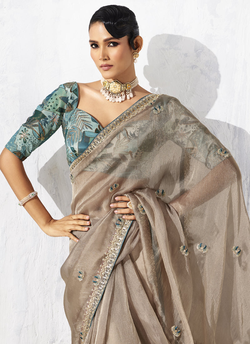 Beige Tissue Organza Designer Blouse Party Wear Saree