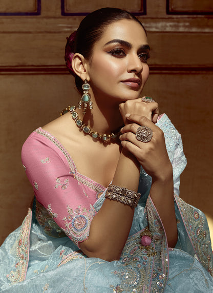 Sky Blue Tissue Silk Designer Blouse Saree