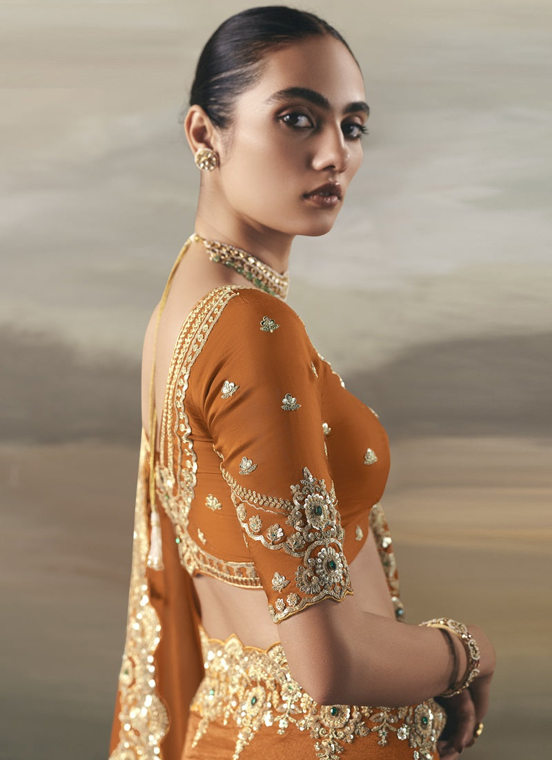 Orange Tissue Heavy Designer Border With Designer Blouse Wedding Wear Saree