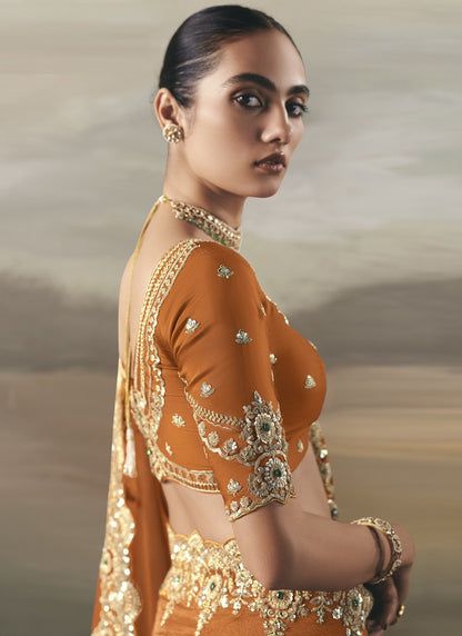 Orange Tissue Heavy Designer Border With Designer Blouse Wedding Wear Saree