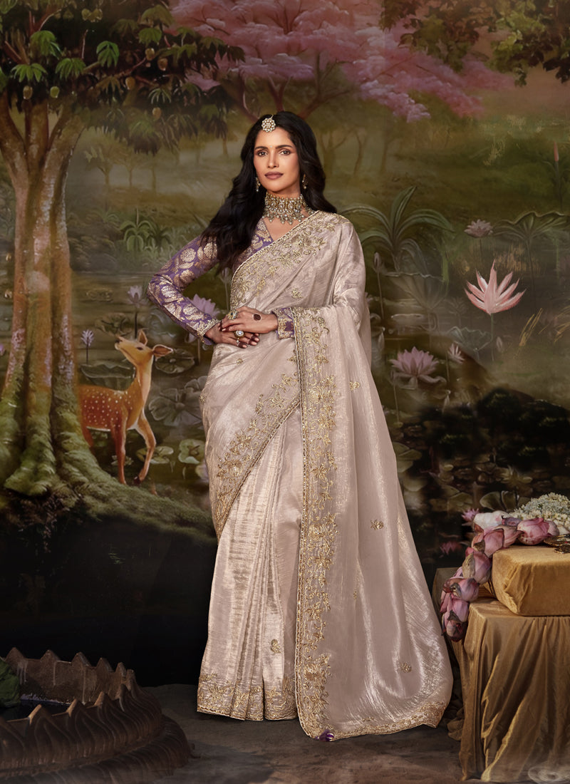 Beige Glass Tissue Organza Designer Sequence Thread Work Border Party Wear Saree