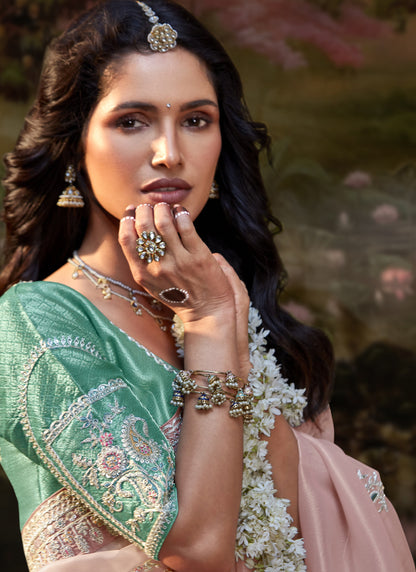 Baby Pink Glass Tissue Organza Designer Sequence Thread Work Border Party Wear Saree